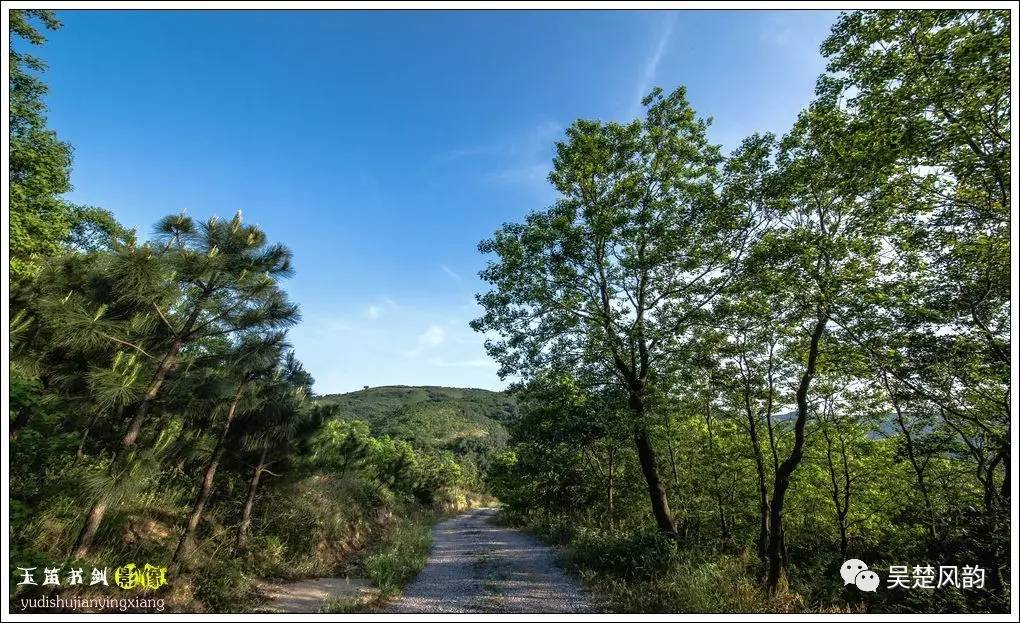 大美石塘初夏时节的浮槎山森林公园