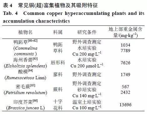 几种重金属的超富集植物种类及增强植物修复措施研究进展