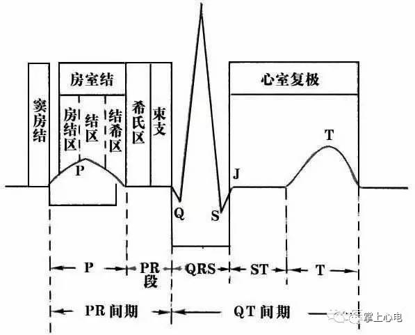 收藏|想看懂心电图?你必须得知道这些知识!