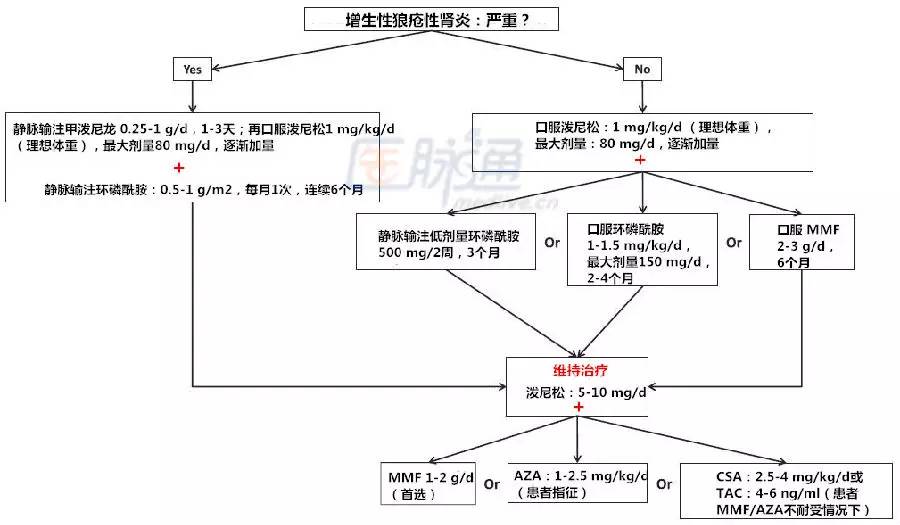 狼疮性肾炎治疗流程图