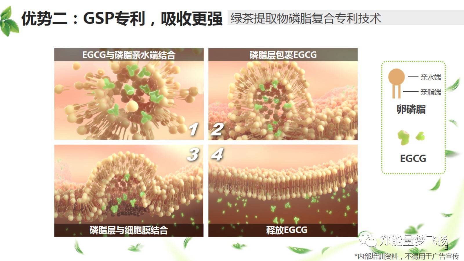 专利磷脂复合技术,使egcg成分更容易被吸收.