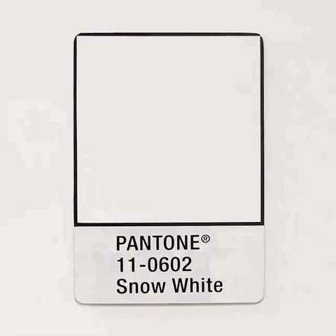 【最设计】你和有趣的人生只差一张色卡:这些设计师用pantone色卡讲