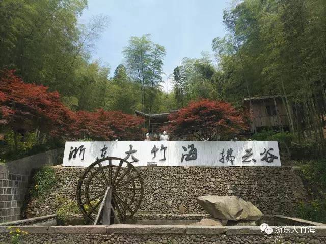 旅游 正文  活动期间,浙东大竹海拂云谷景区对70岁以上老人,1.