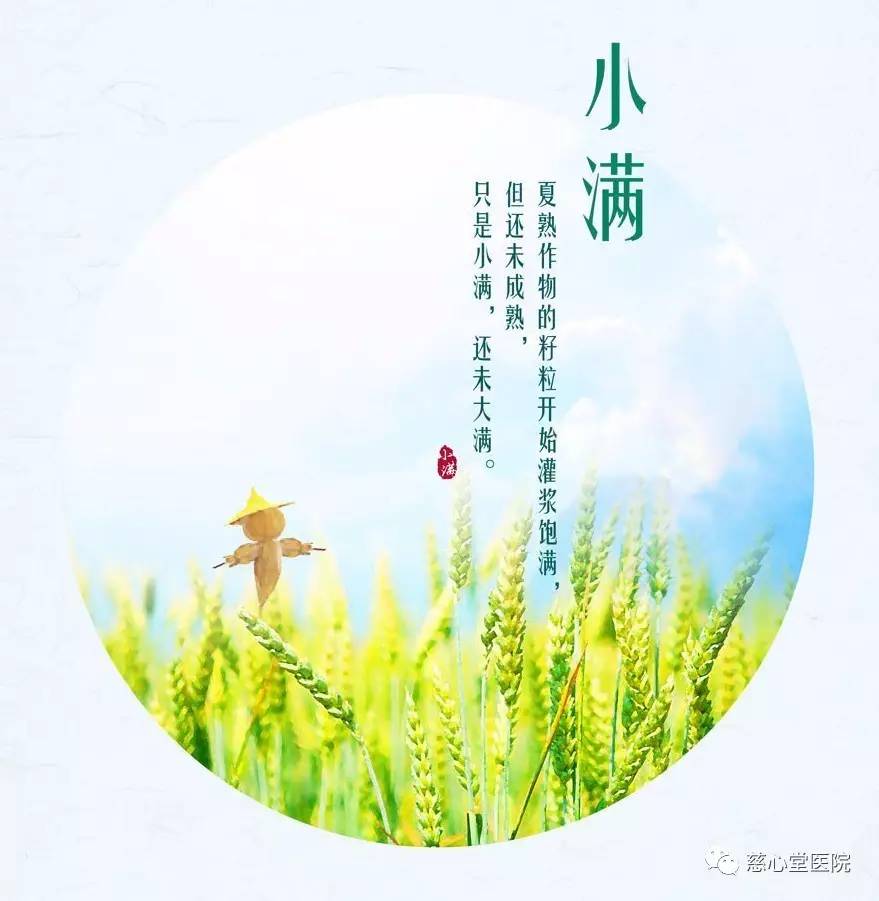 节气问候|小满