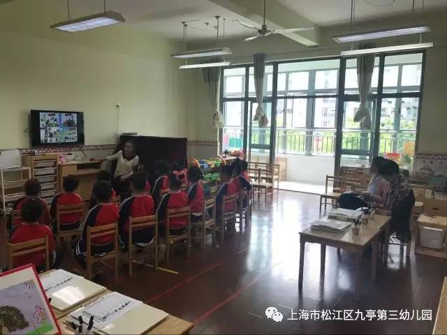 【规范管理】专业指导,促进成长—九亭第三幼儿园开展教师教学能力