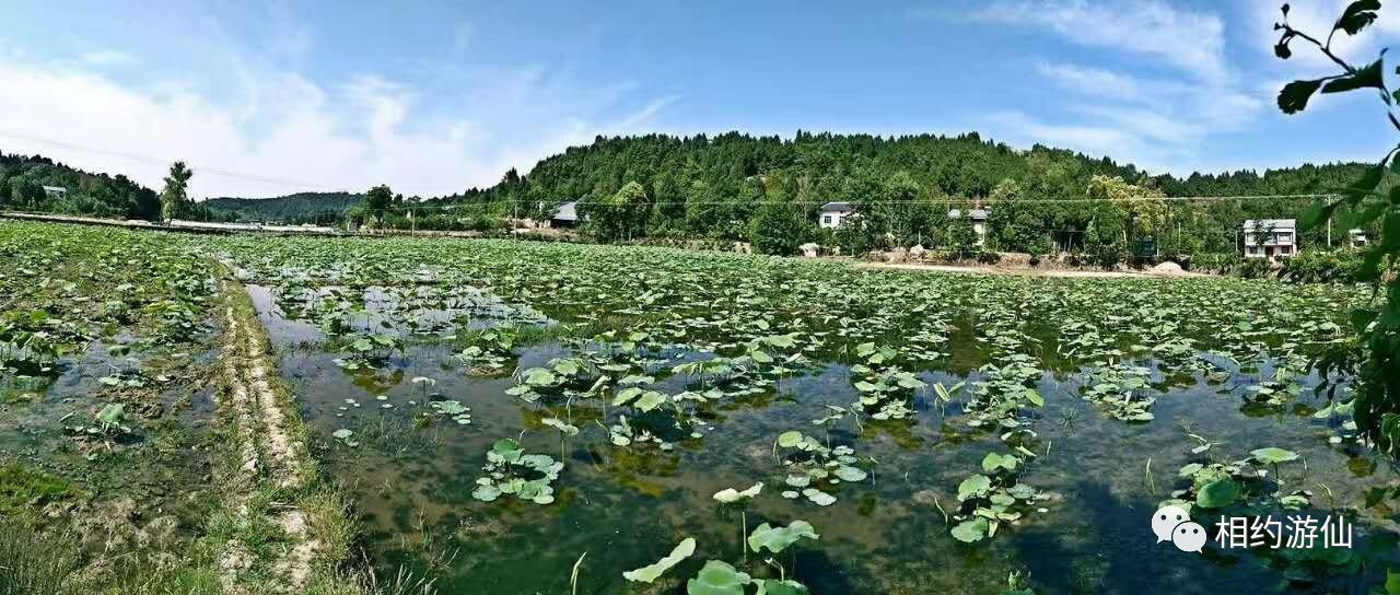 绵阳旅行社联盟走进游仙,考察乡村旅游线路建设!