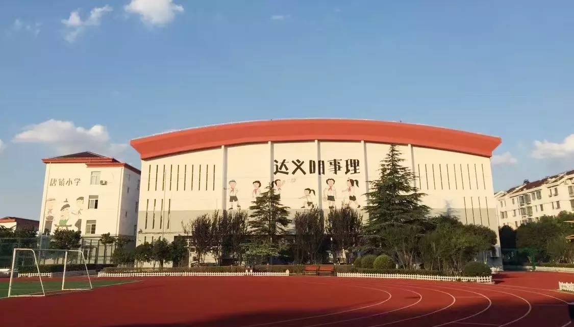 唐镇小学全区现场会|遇见最牛掰的大队辅导员和最萌的