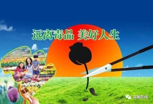 今日特刊|生命中的小岛