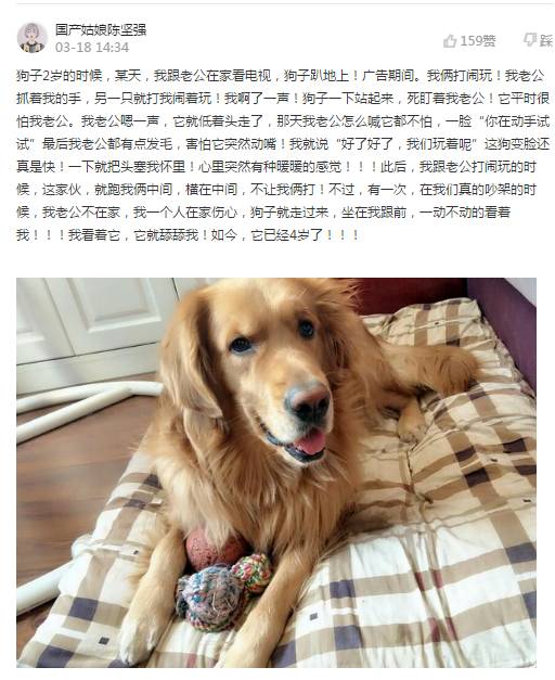 你家的宠物做过什么不可思议的事？