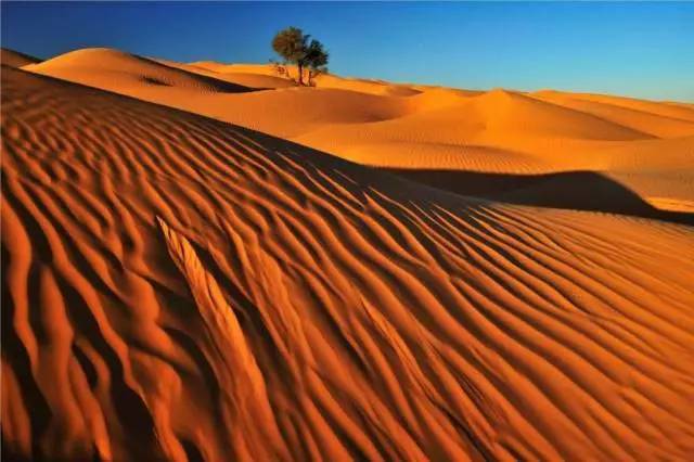 埃及&摩洛哥&撒哈拉大沙漠,茶水小王带你玩