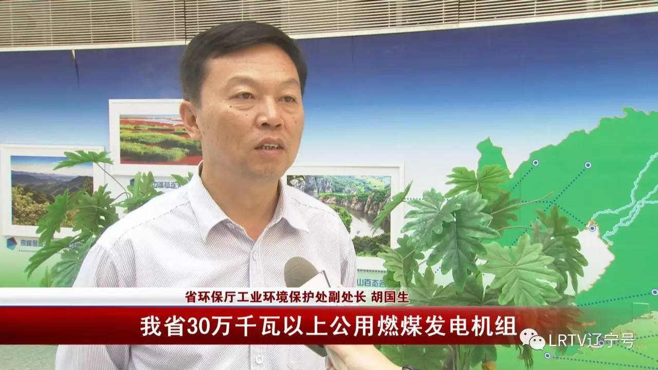 省环保厅工业环境保护处副处长 胡国生