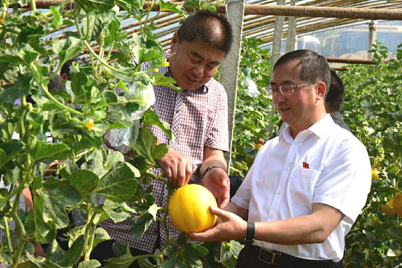 比德镇人口_比德镇比德小学