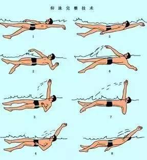 >> 文章内容 >> 仰泳的动作要领都有哪些   蛙泳的动作要领问:蛙泳的