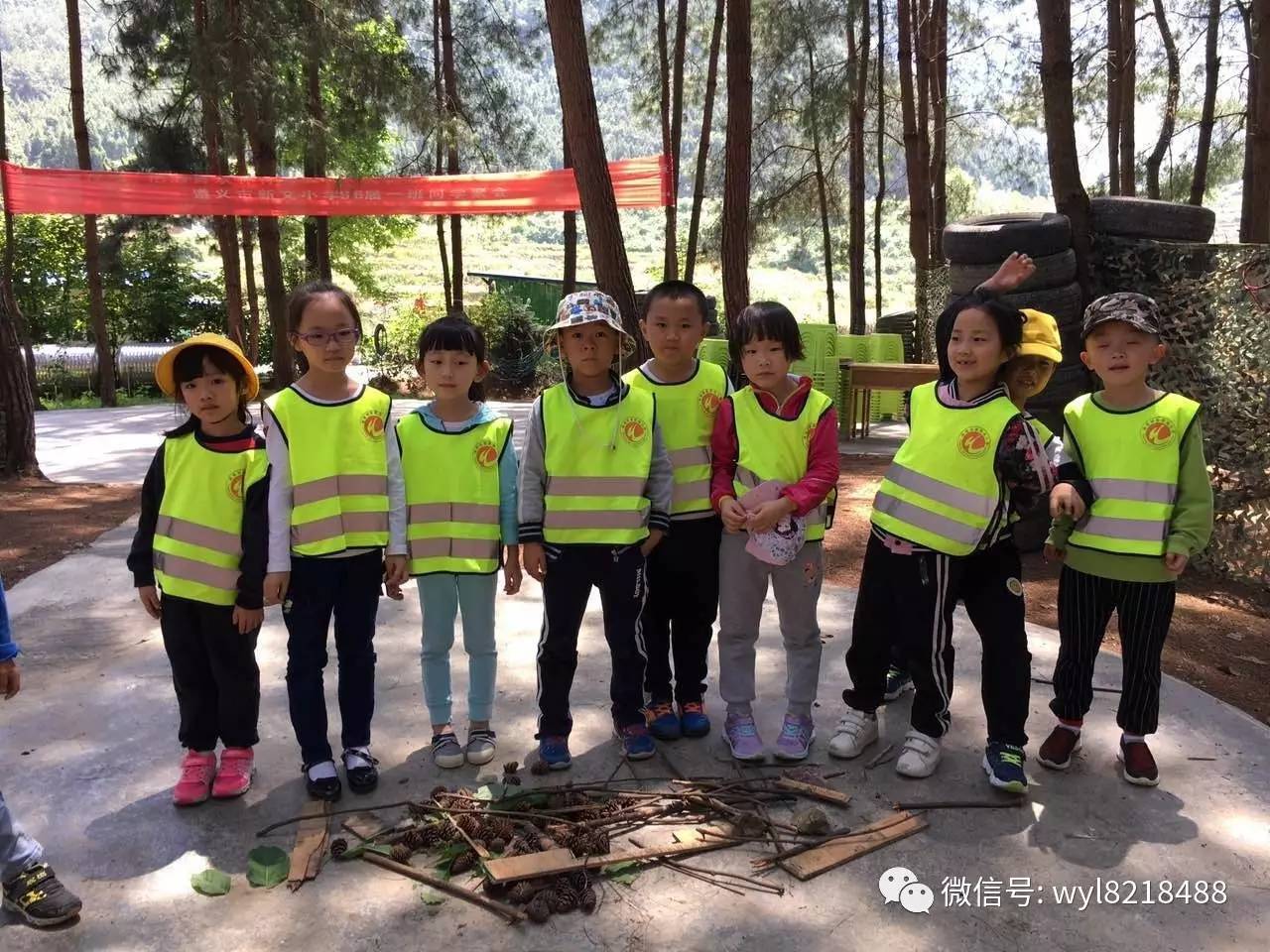 大大班森林学校活动丛林寻宝会员动态