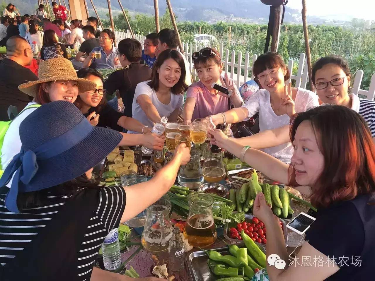 报名啦!——烧烤.烟花.篝火晚会，草莓免费采摘喽！！