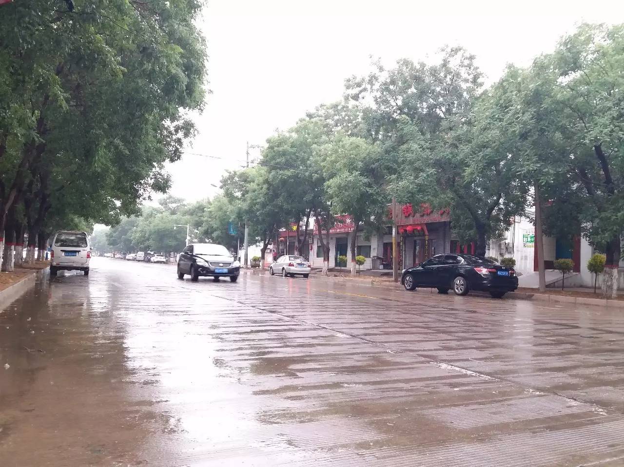 再看看雨天洗刷着我们赵县的街头!