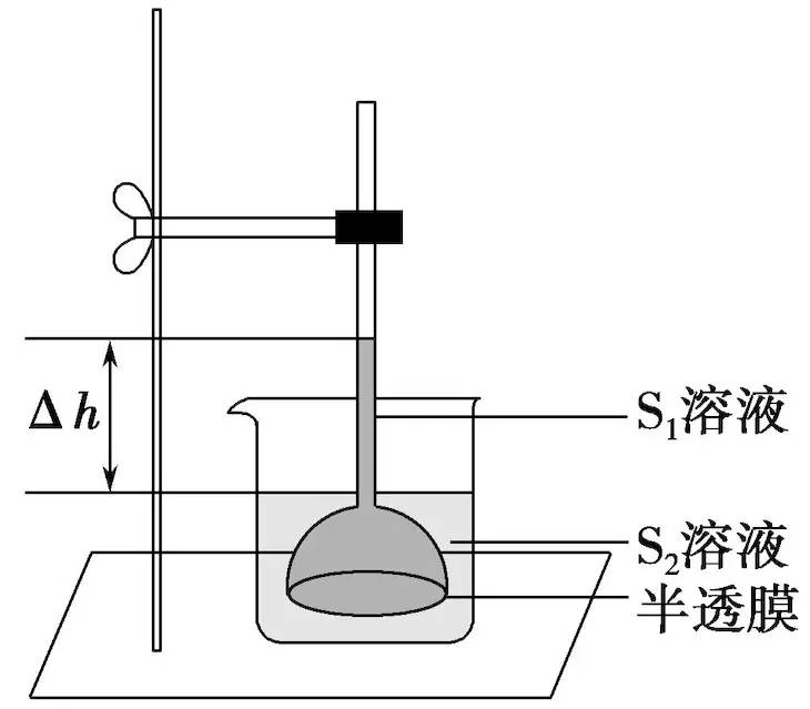 其实原理也非常简单,她们利用的是渗透作用.