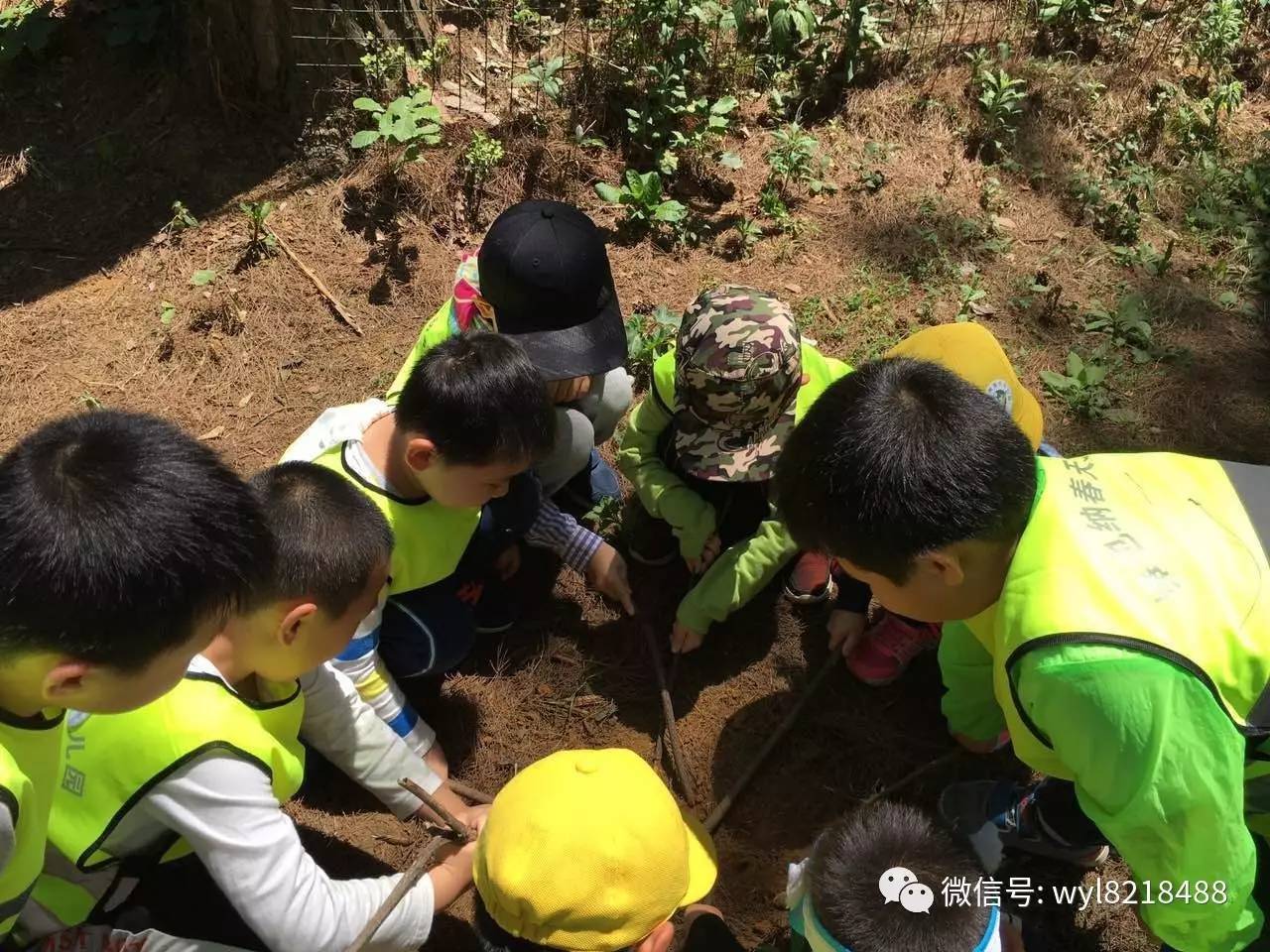 大大班森林学校活动——丛林寻宝|会员动态