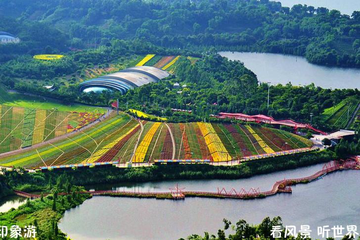 盘点:深圳8大湿地公园,10大特色主题公园