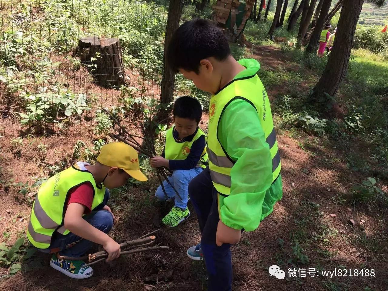 大大班森林学校活动—丛林寻宝|会员动态