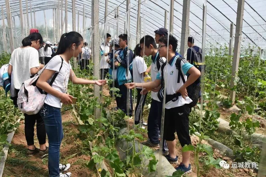 磨练学生的意志,提升学生的综合素质,更好地适应社会需求