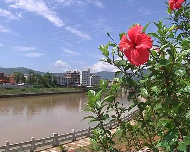 河道清淤方案怎么寫(xiě)南安通過(guò)“河流清淤清障”等兩個(gè)奉行計(jì)劃進(jìn)一步落實(shí)河長(zhǎng)造(圖6)