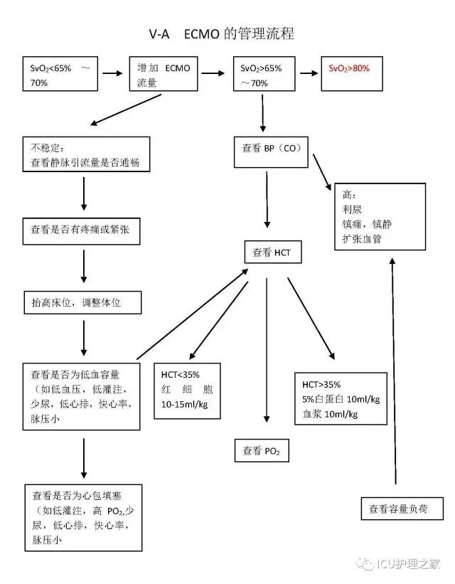 ecmo简易常规,详细解读!