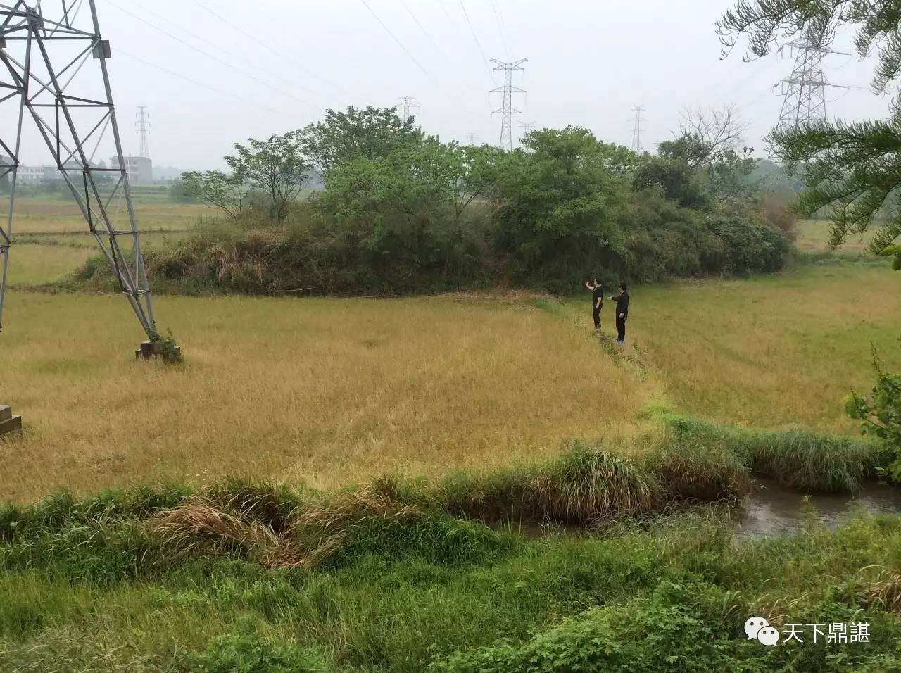 荆山村人口_荆山村英才学校