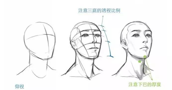 上述说的是一些正常情况下人体头部的比例,而漫画中因观察的角度