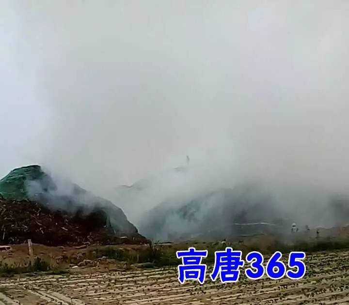 据高唐365粉丝爆料:前天(5月21日)下午5点半左右,在高唐城西北谷官屯