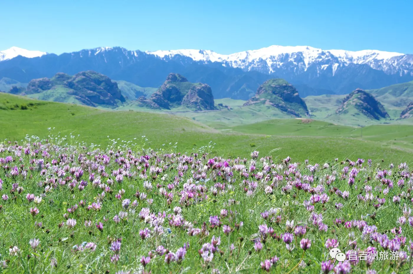 南 山 牧 场