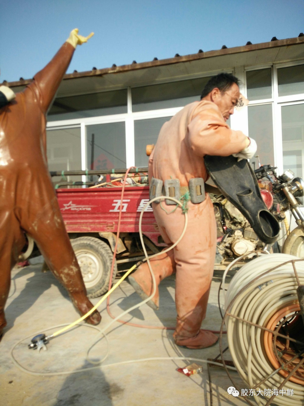 体验胶东大院自加工即食海参，参加代加工回馈活动，给你吃一年的特价！