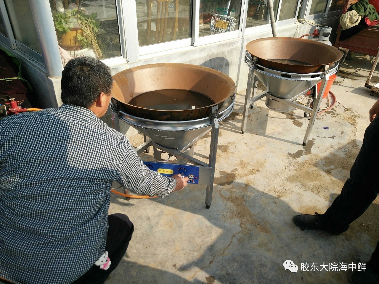 体验胶东大院自加工即食海参，参加代加工回馈活动，给你吃一年的特价！