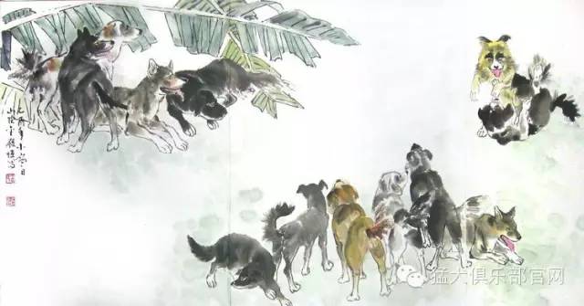 中国爱犬人必看！月亮不是国外圆——国产猛犬品种急需拯救和发扬！