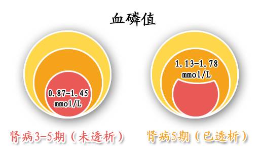 血磷作祟?3张图告诉你慢性肾病患者瘙痒治疗