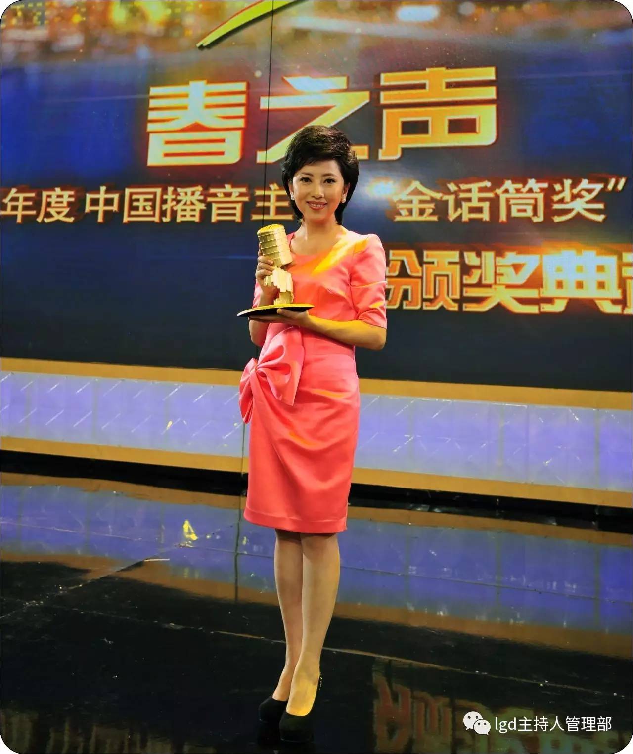 九次获得黑龙江省广播电视奖电视播音主持一等奖黑龙江卫视《新闻