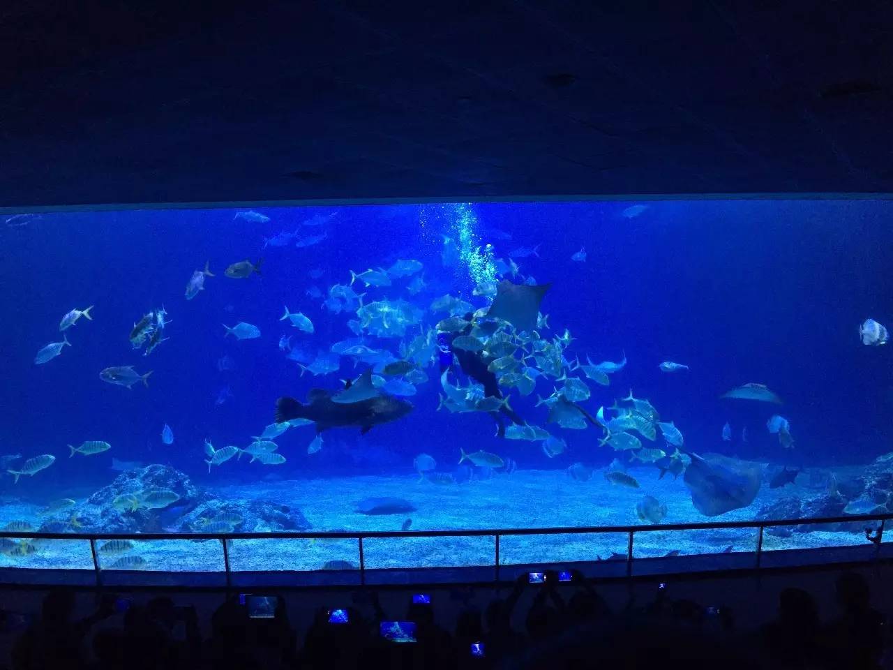 夜宿海生館 - 珊瑚王國館海底隧道 | 墾丁 2020年 最新優惠 │ 點進來看照片和評論～