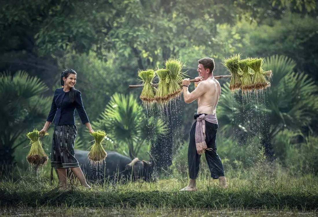 美图|感受泰国乡村的淳朴和原生态之美