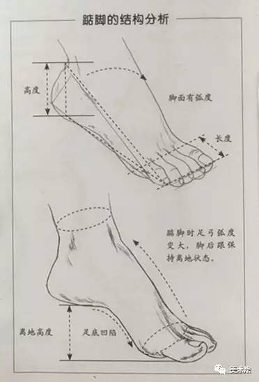 素描教程-脚部的画法