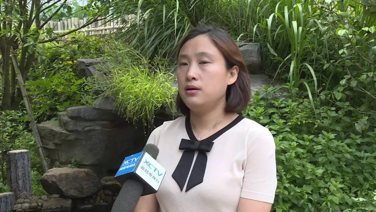 回山镇党委副书记 陈婷婷