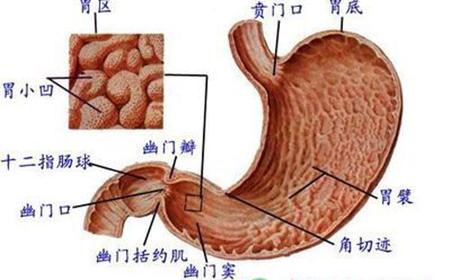 胃癌转移早知道,这些症状需重视!