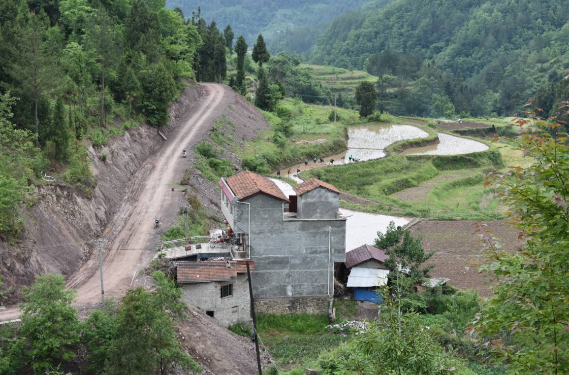 [交通建设] 三元镇至黎坝大坪水泥路面铺设 今日正式