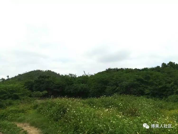 答 我只看众山小 不管他山高 点赞 自信 您最棒 传说后山仔有块石头