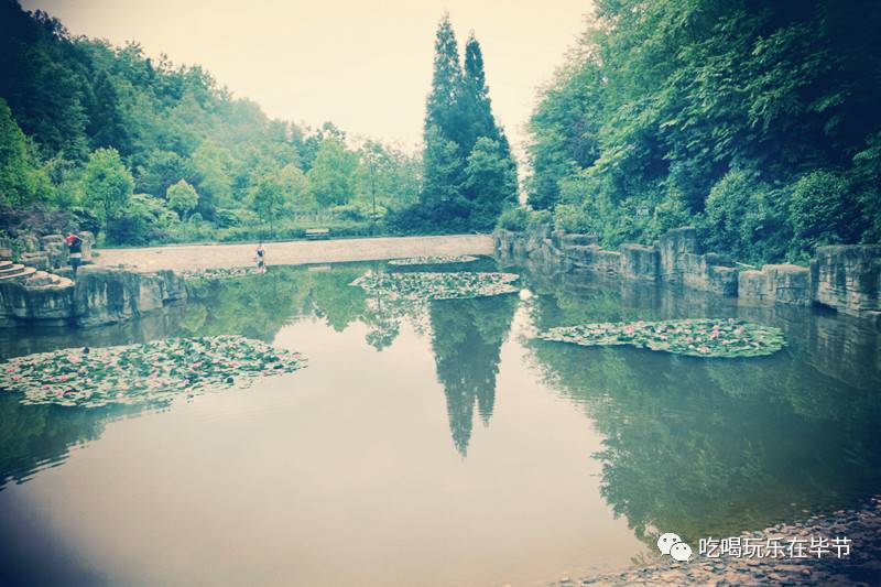 毕节阳山公园,被毕节人遗忘的水墨丹青!