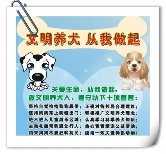 文明养犬,任重道远.