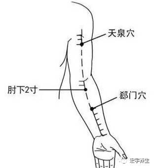 按揉心包经,濡养心脏赛人参!