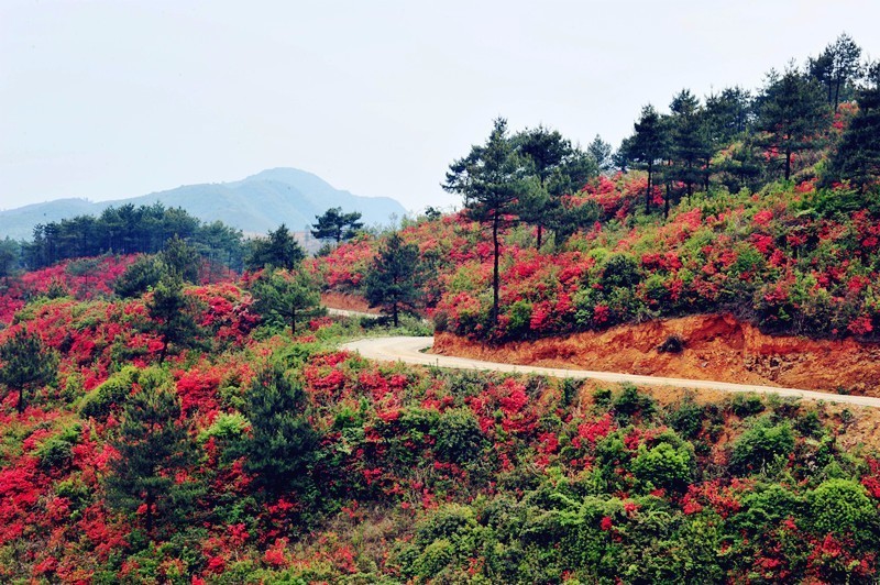 武隆白马山