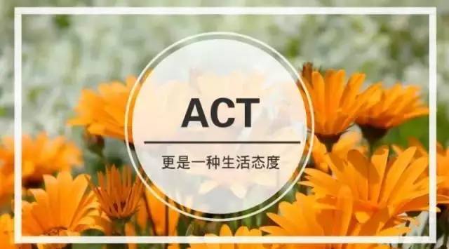 【课讯】祝卓宏教授—接纳承诺疗法act初阶工作坊开班