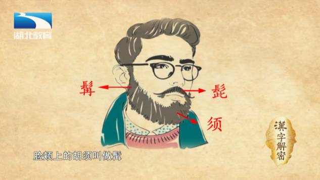 汉字解密|古人为什么不剃胡子