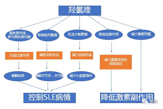 硫酸羟氯喹为何如此神奇